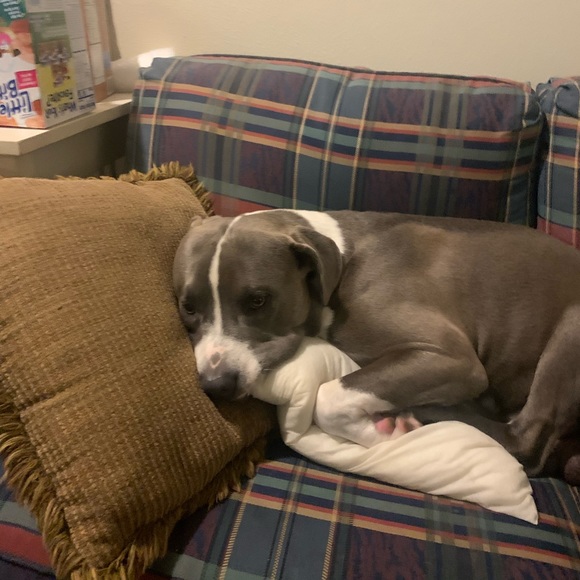 Meet your Posher, Laurie - Picture 2 of 3